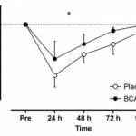Maximale kracht BCAA en placebo groep