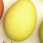 eiwitrijk-voedsel-eieren-min